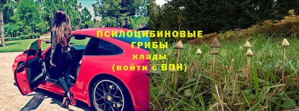 бошки Арсеньев