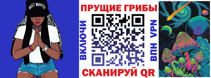 Галлюциногенные грибы Psilocybe  хочу   Магас 