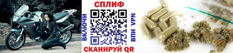 Бошки марихуана VHQ  Магас 